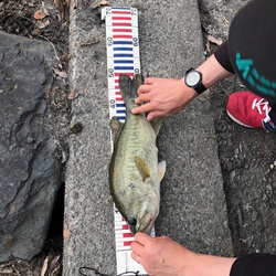 釣ってしまいました☆ 釣ってしまいました☆