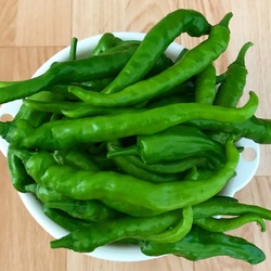 夏バテ防止! 夏バテ防止!