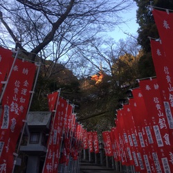 奈良へ。 奈良へ。