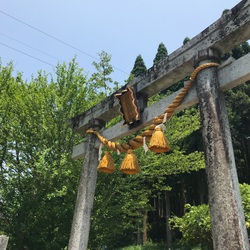 根道神社とモネの池☆ 根道神社とモネの池☆