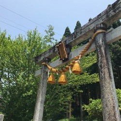 根道神社とモネの池☆