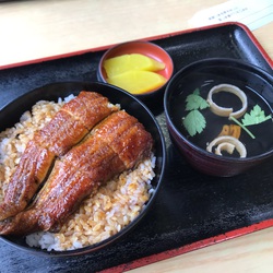 うなぎたべました。 うなぎたべました。