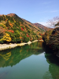 紅葉。 紅葉。