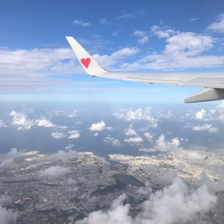 南の島。 南の島。