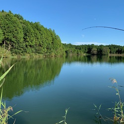 涼しくなってきましたね。 涼しくなってきましたね。