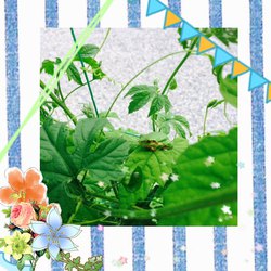 たぶん、ぎっくりです。 たぶん、ぎっくりです。