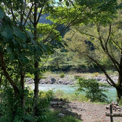 降りだしました。 降りだしました。