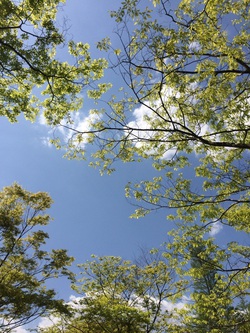 連休は・・・☆ 連休は・・・☆