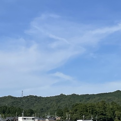 梅干しと悪い猫。 梅干しと悪い猫。