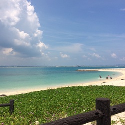 行ってきました。 行ってきました。