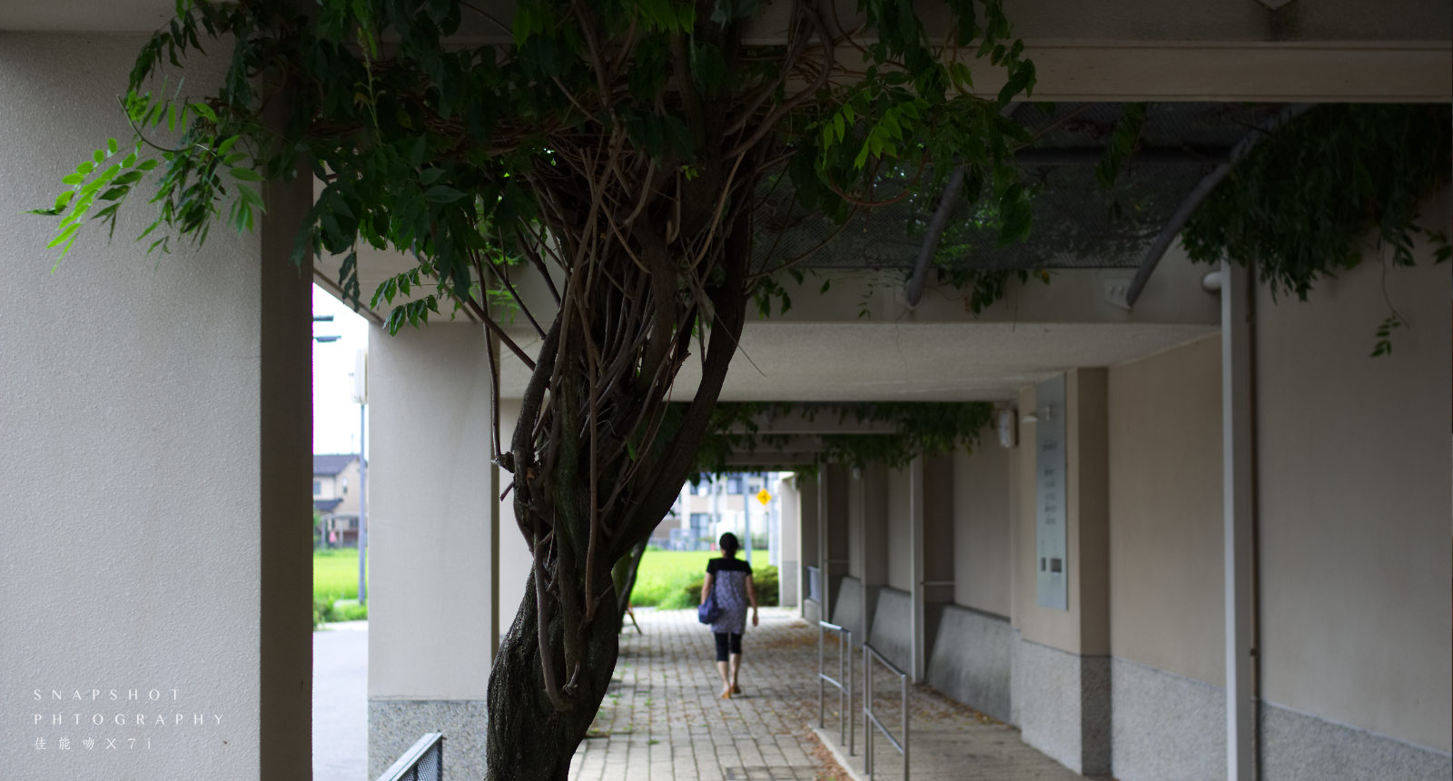 「君の名は」の世界観で撮る近江鉄道の写真が誰が見ても素晴らしい。 「君の名は」の世界観で撮る近江鉄道の写真が誰が見ても素晴らしい。