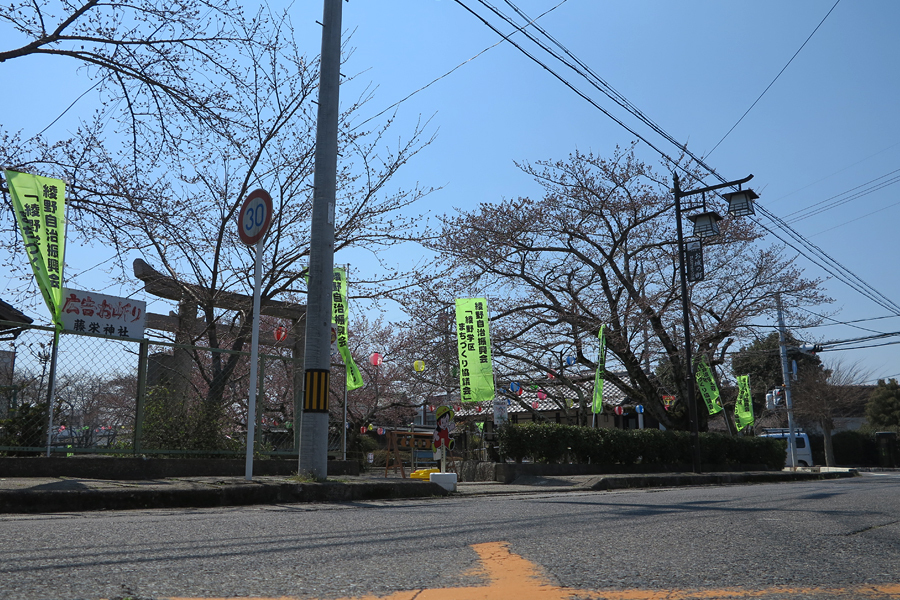 甲賀市水口町・藤栄神社の桜は咲き始め(2017年4月5日)