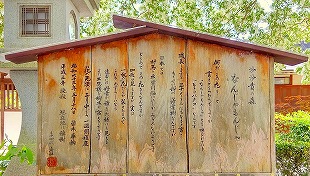なんじゃもんじゃ の説明版 なんじゃもんじゃ の説明版