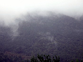 雨で山頂が煙っている繖山 雨で山頂が煙っている繖山