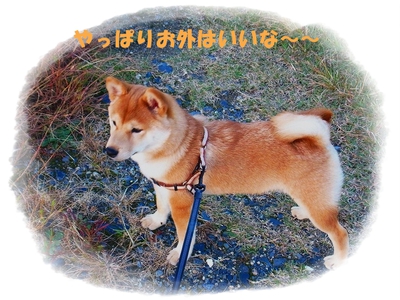 san