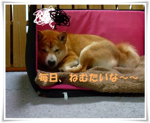 ねむい ねむい