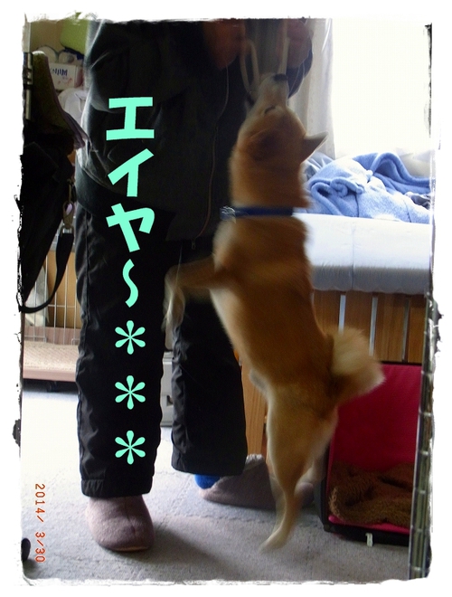 筋トレ 筋トレ