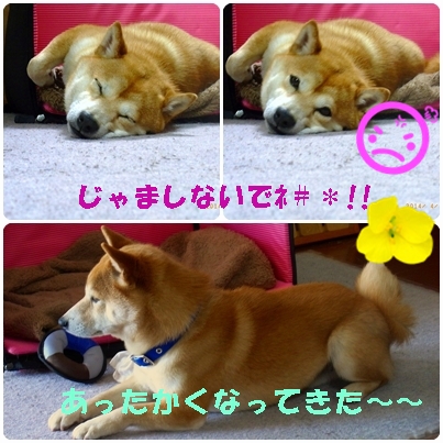 春は 春は