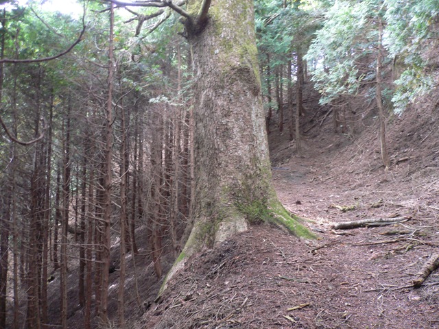 蛇谷ヶ峰