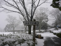 希望が丘雪中ウォーキング