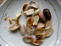 落花生 栽培・炒り方