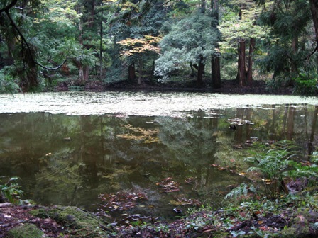 ウッディパル余呉菅山寺