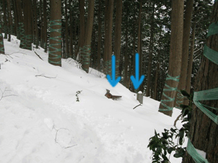 厳冬期高野山・明神山・白鹿背山