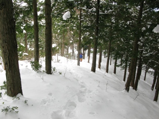 厳冬期高野山・明神山・白鹿背山