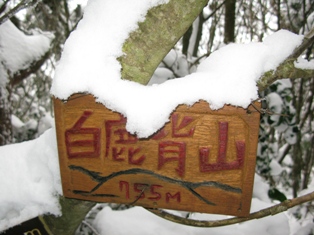 厳冬期高野山・明神山・白鹿背山