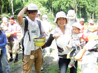 木の伐採見学と森の仕事体験① 木の伐採見学