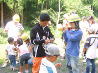 木の伐採見学と森の仕事体験① 木の伐採見学