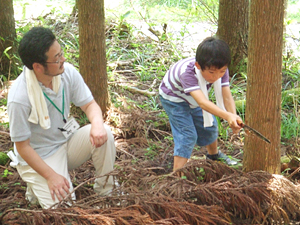 木の伐採見学と森の仕事体験② 間伐体験