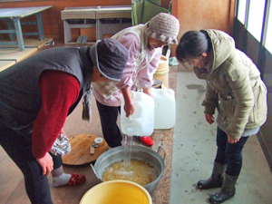 豆の浸水