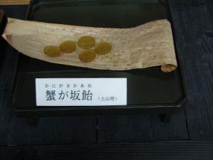 第401回 伝馬館