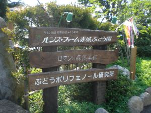 第393回 ルンズファーム赤城