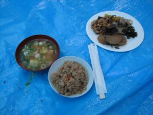 第424回 ぶり縄