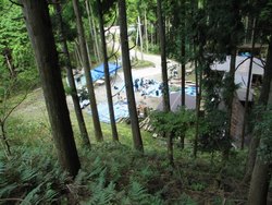 第319回 エミリンも伐採だ!