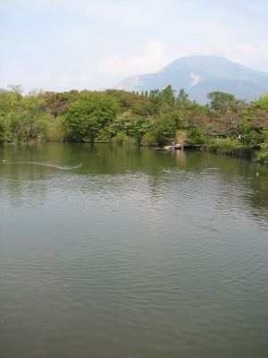 第415回 三島池