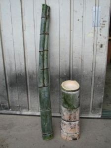第454回 変な形の竹