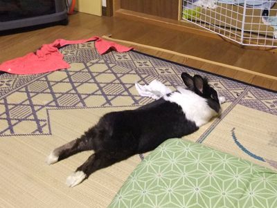 ヘッドスライディング!!