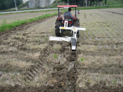 きのせ大豆の溝掘作業