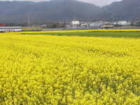 エコネットカフェ2007総集編