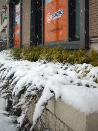 雪やどんどん