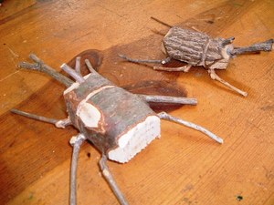 バームクーヘン作りの森で・・・(番外編)