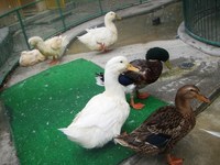 岐阜でうふふっ!どうぶつ編