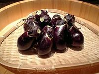 姓は下田 名はなす。