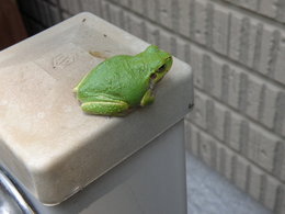 梅雨のあいまに♪