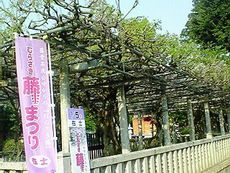 花と歴史好きにはコチラ~週末おススメその2