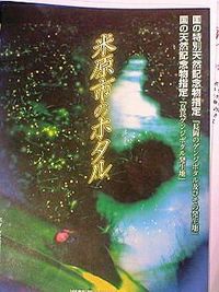 ほーホー♪