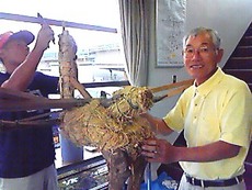 週末おススメ~20年ぶり復活!